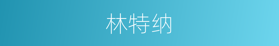 林特纳的同义词