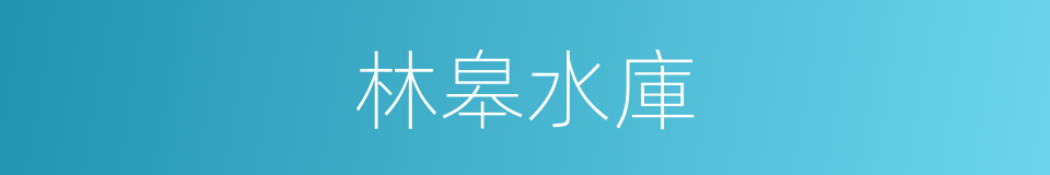 林皋水庫的同義詞