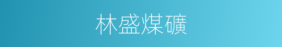 林盛煤礦的同義詞