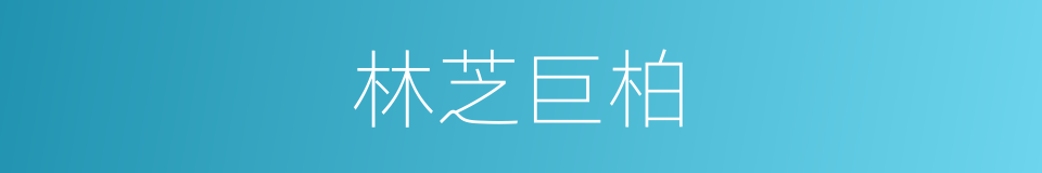 林芝巨柏的同义词
