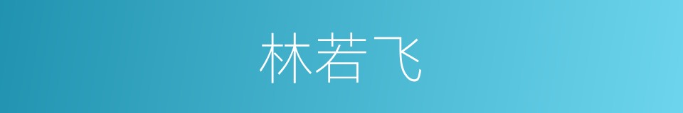 林若飞的同义词
