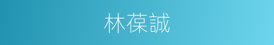 林葆誠的同義詞