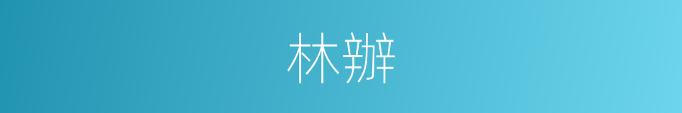 林辦的同義詞
