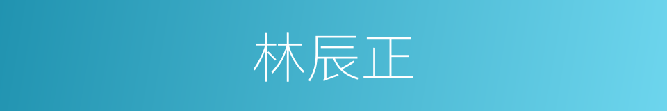 林辰正的同义词