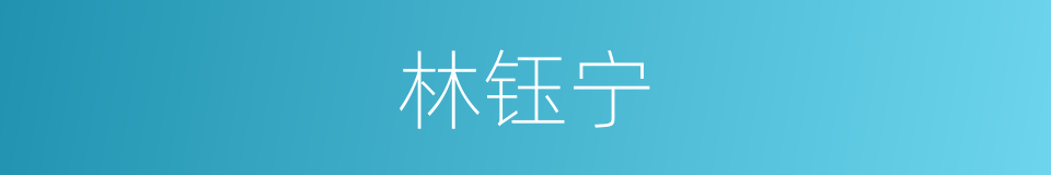 林钰宁的同义词