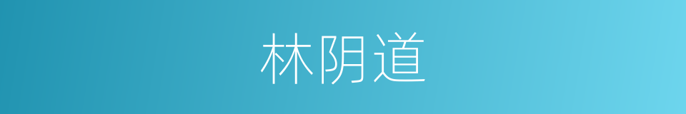 林阴道的意思