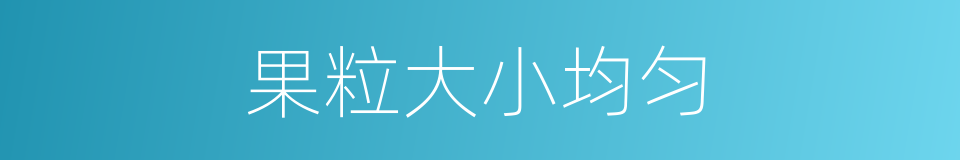 果粒大小均匀的同义词