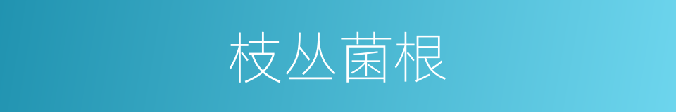 枝丛菌根的同义词