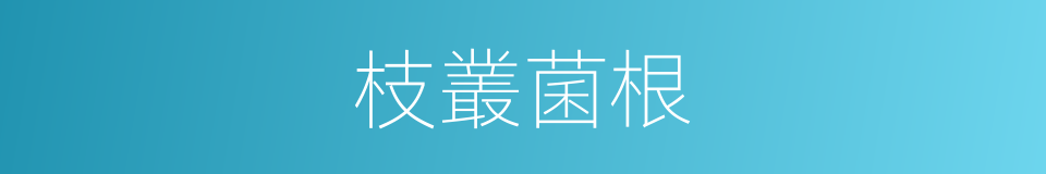 枝叢菌根的同義詞