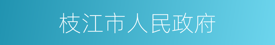 枝江市人民政府的同义词