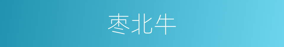 枣北牛的同义词