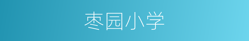 枣园小学的同义词