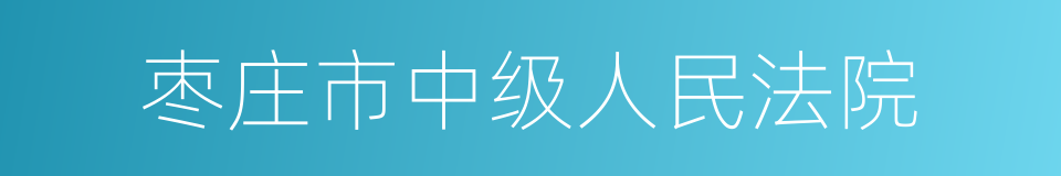 枣庄市中级人民法院的同义词