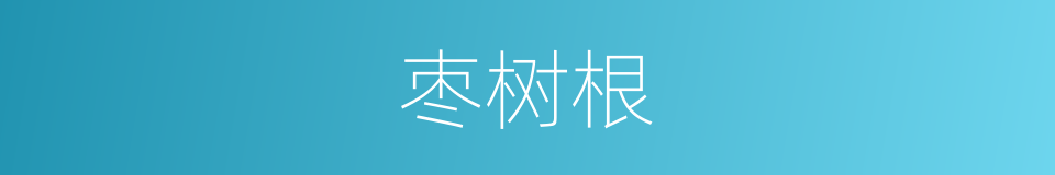 枣树根的同义词