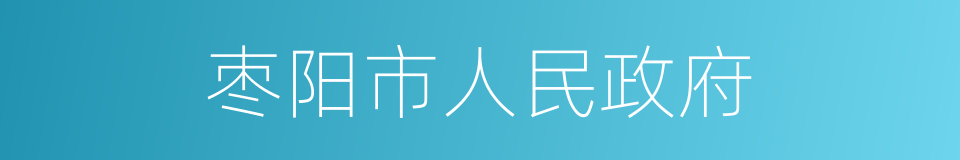 枣阳市人民政府的同义词