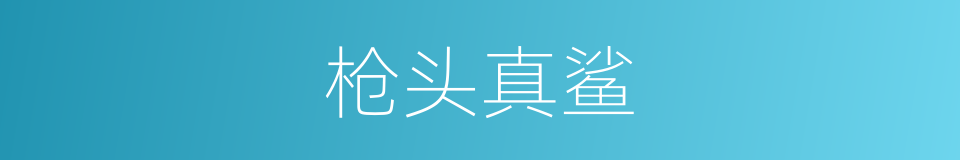 枪头真鲨的同义词