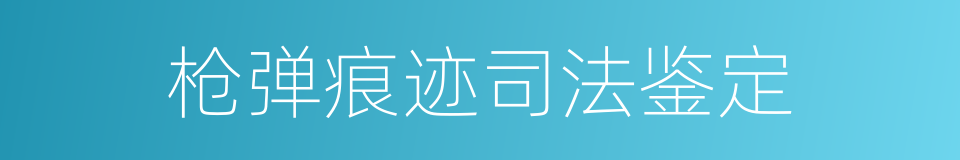 枪弹痕迹司法鉴定的同义词