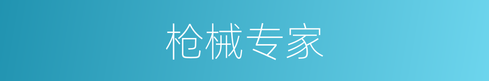 枪械专家的同义词