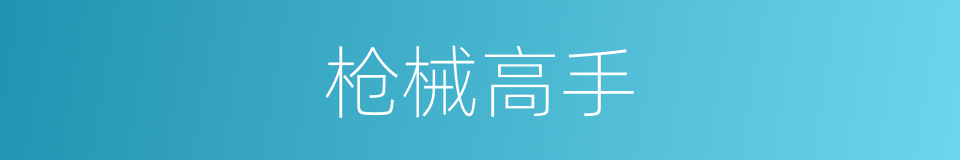 枪械高手的同义词