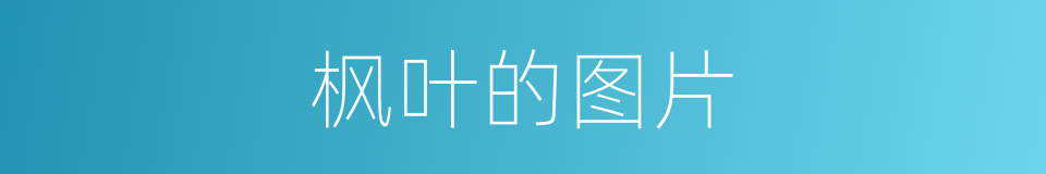 枫叶的图片的同义词