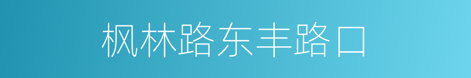 枫林路东丰路口的同义词