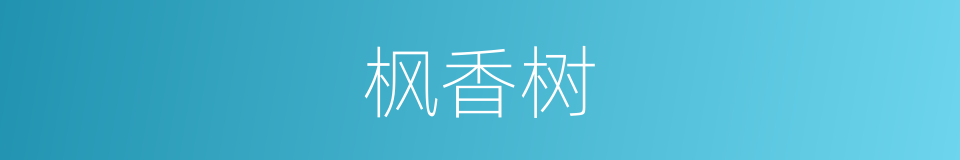 枫香树的意思