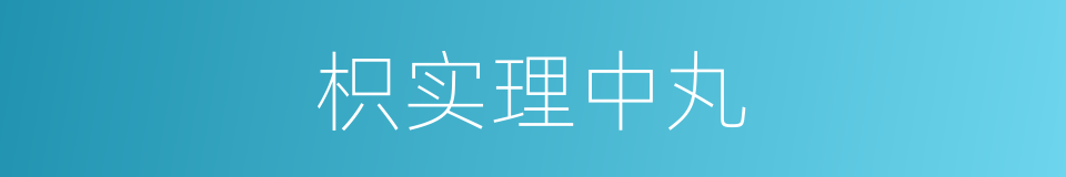 枳实理中丸的同义词