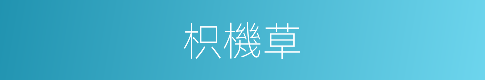 枳機草的意思