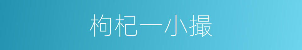 枸杞一小撮的同义词