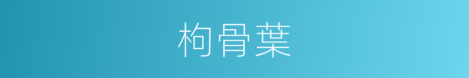 枸骨葉的同義詞