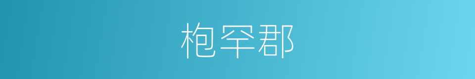 枹罕郡的同义词