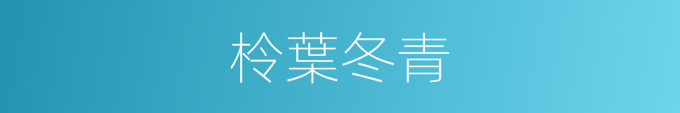 柃葉冬青的同義詞