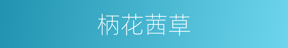 柄花茜草的同义词