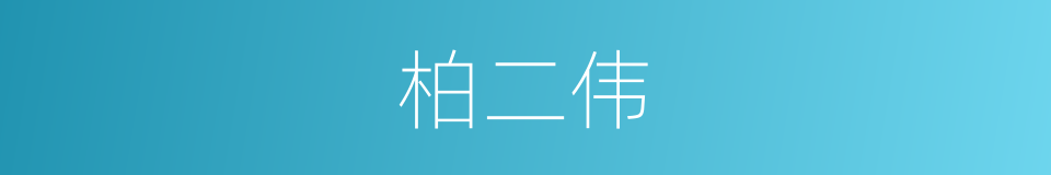 柏二伟的同义词