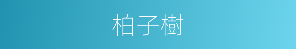 柏子樹的同義詞