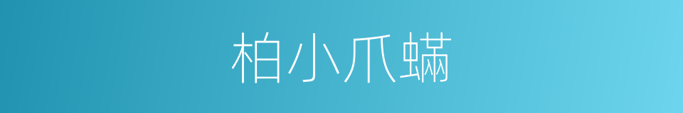 柏小爪蟎的同義詞