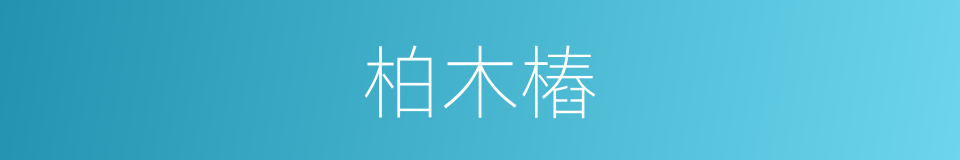 柏木樁的同義詞