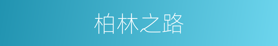 柏林之路的同义词