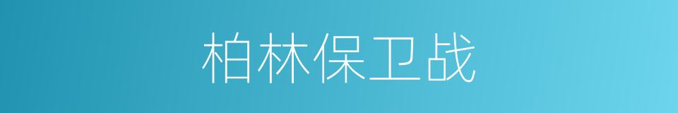 柏林保卫战的同义词