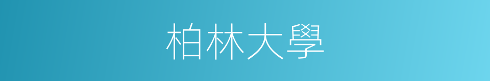 柏林大學的意思