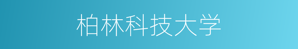 柏林科技大学的同义词