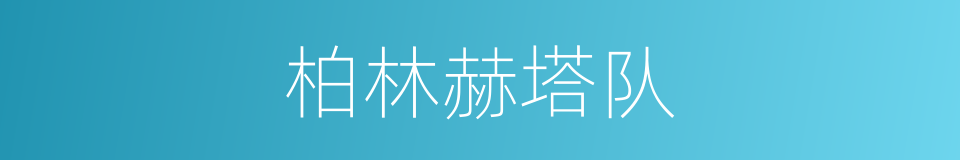 柏林赫塔队的同义词