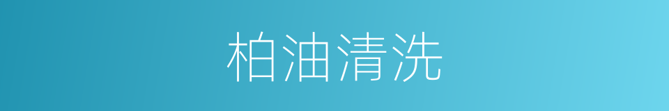 柏油清洗的同义词