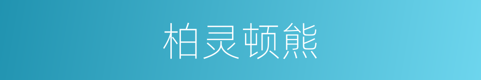 柏灵顿熊的同义词