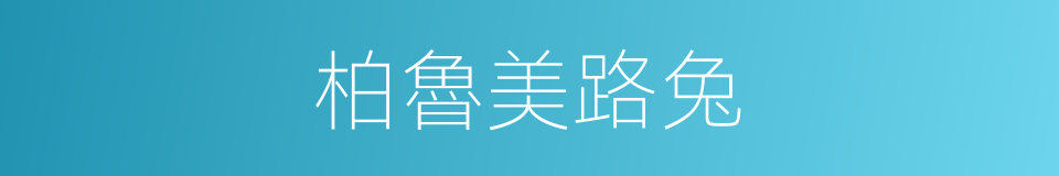 柏魯美路兔的同義詞