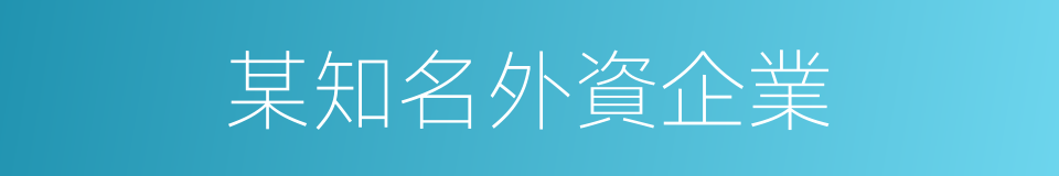 某知名外資企業的同義詞
