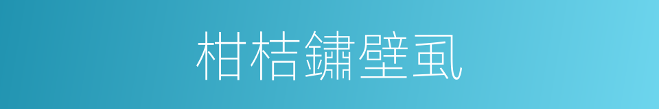 柑桔鏽壁虱的同義詞