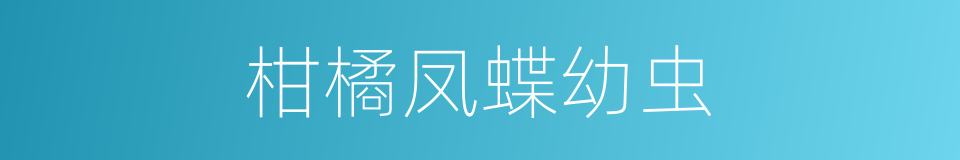 柑橘凤蝶幼虫的同义词