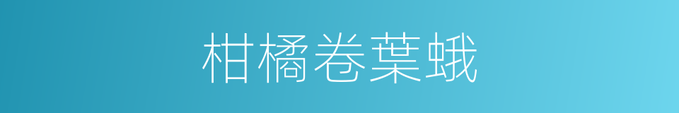 柑橘卷葉蛾的同義詞