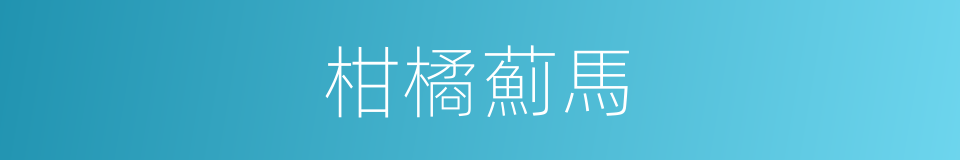 柑橘薊馬的同義詞
